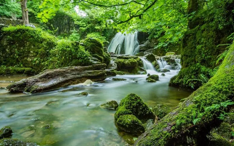 可靠性高质量高效